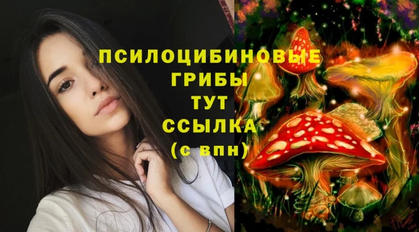 амфетамин Киреевск