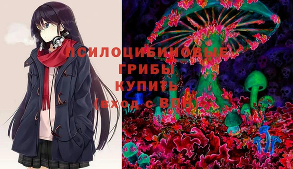герыч Кинешма