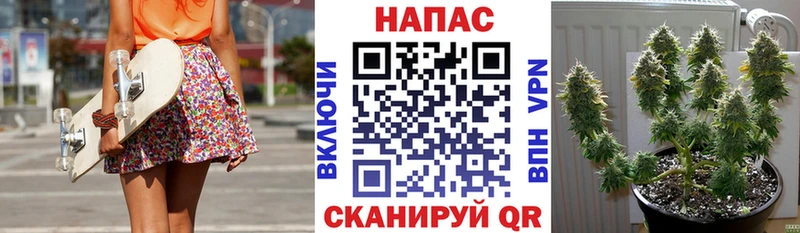 Купить  Мценск  Каннабис конопля 